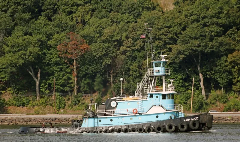 MARY ALICE Tug Boat IMO 7402738 photo 4