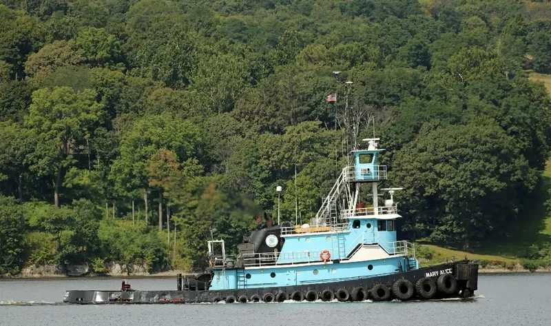 MARY ALICE Tug Boat IMO 7402738 photo 6