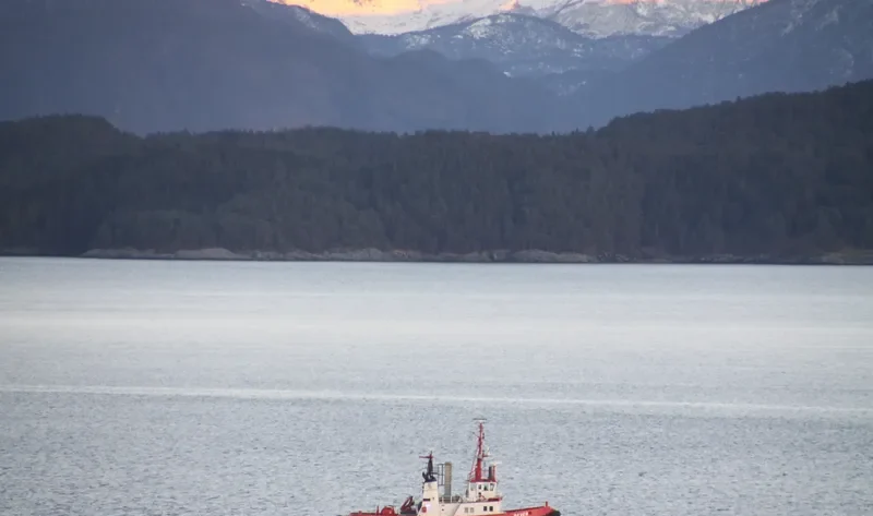 BEVER Tug Boat IMO 7403184