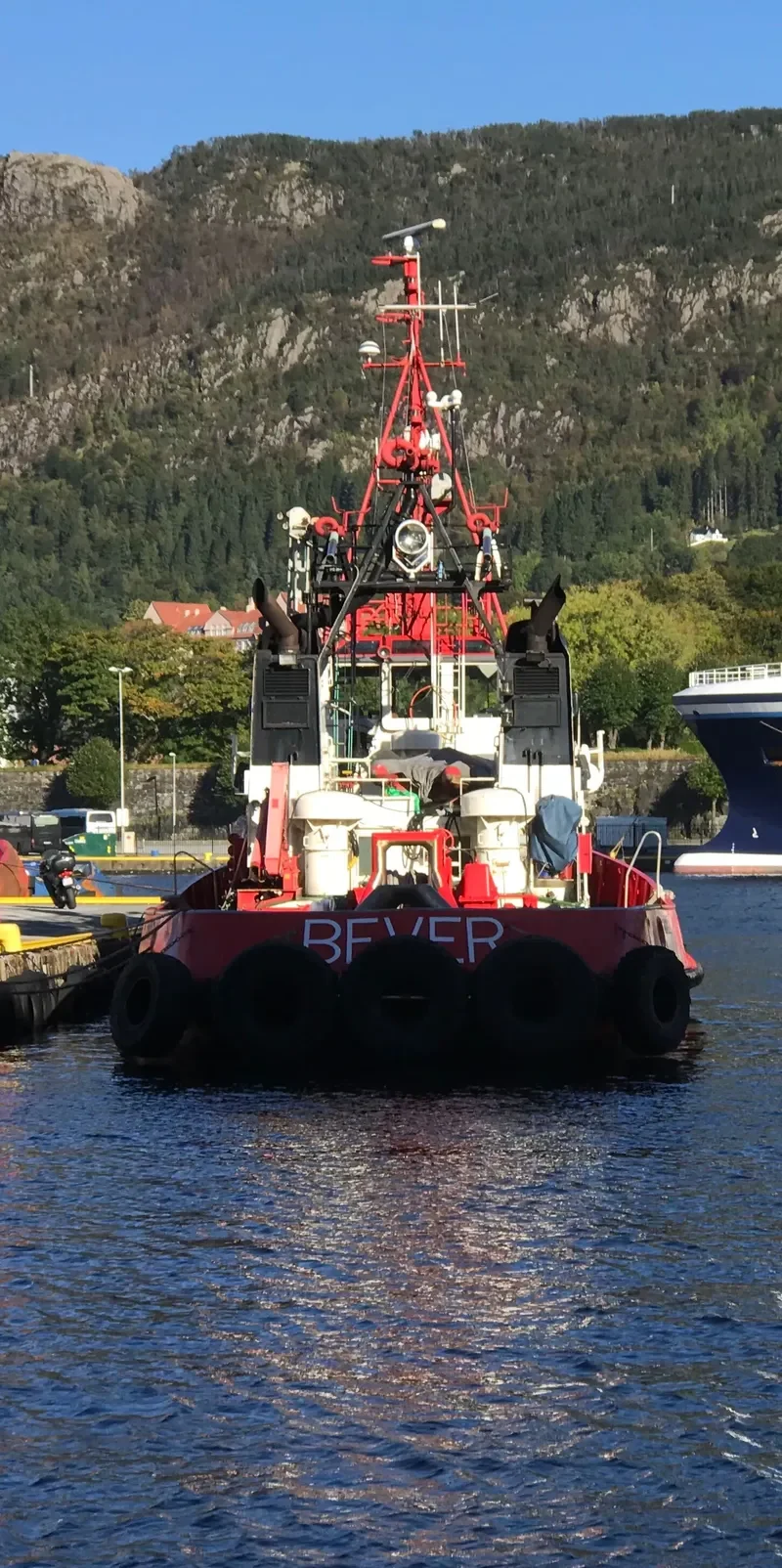 BEVER Tug Boat IMO 7403184 photo 2