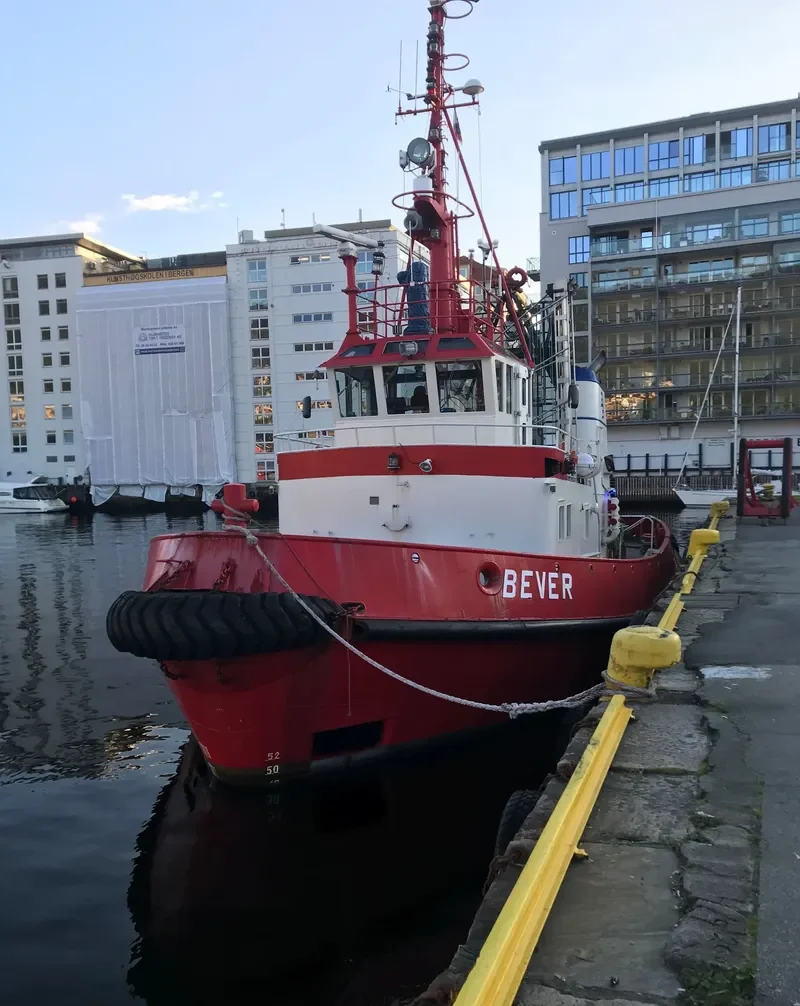 BEVER Tug Boat IMO 7403184 photo 3