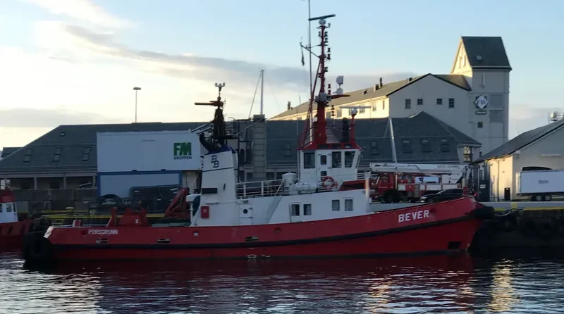 BEVER Tug Boat IMO 7403184 photo 4