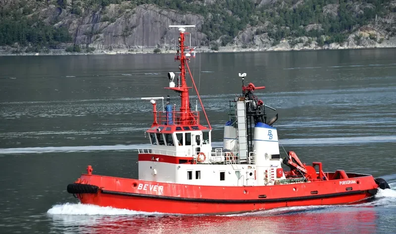 BEVER Tug Boat IMO 7403184 photo 5