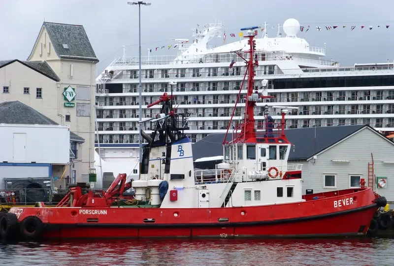 BEVER Tug Boat IMO 7403184 photo 8