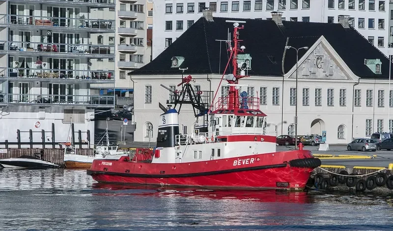 BEVER Tug Boat IMO 7403184 photo 10