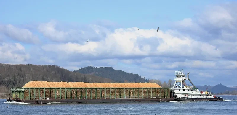 CHALLENGER Offshore Vessel IMO 7403483 photo 4
