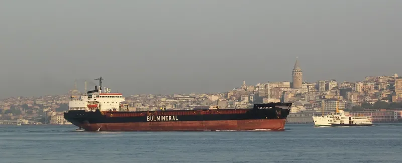 LENA KOLEVA General Cargo IMO 7403550 photo 2