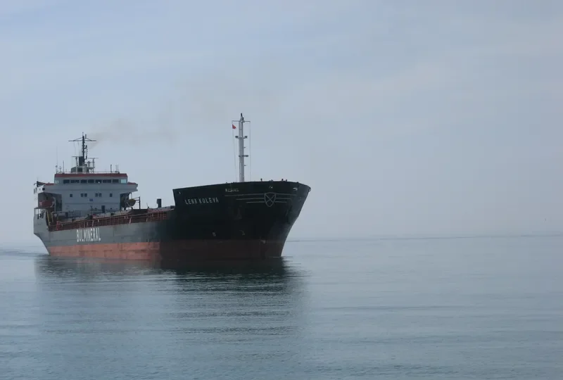 LENA KOLEVA General Cargo IMO 7403550 photo 9
