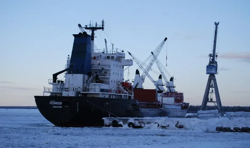 REDWOOD General Cargo IMO 7403689