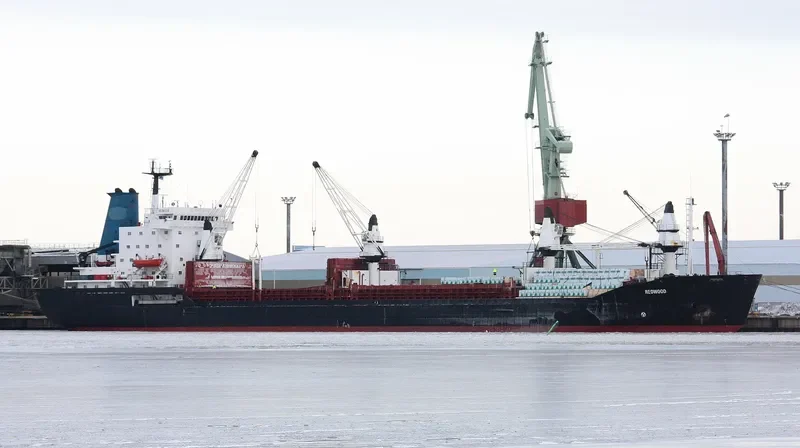 REDWOOD General Cargo IMO 7403689 photo 3