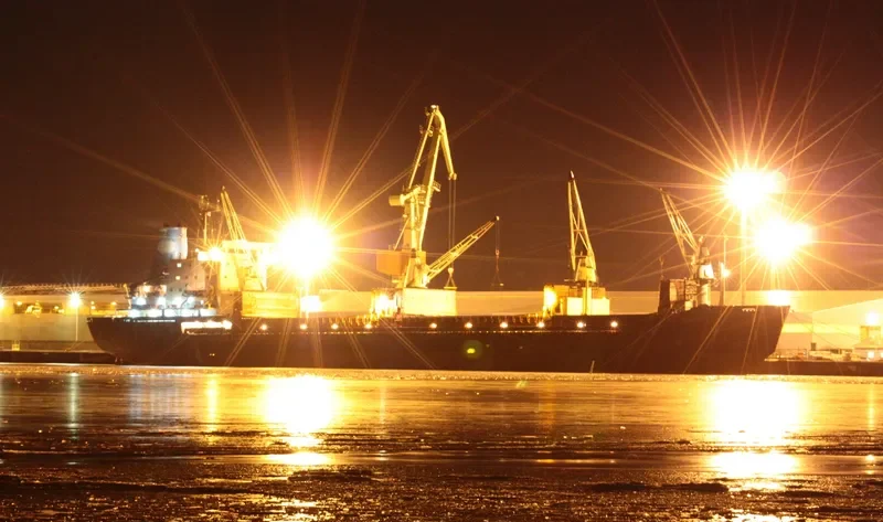 REDWOOD General Cargo IMO 7403689 photo 5