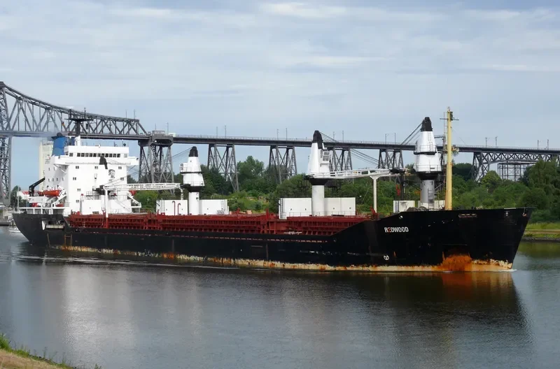 REDWOOD General Cargo IMO 7403689 photo 7
