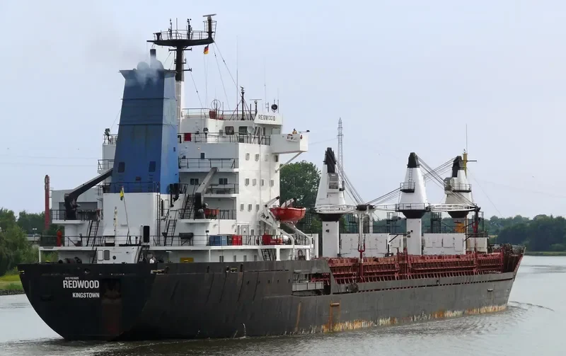 REDWOOD General Cargo IMO 7403689 photo 9
