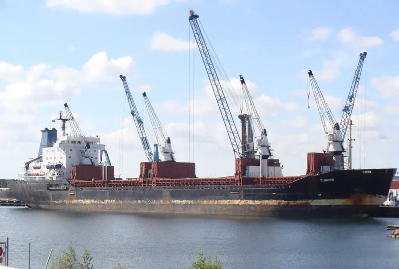 REDWOOD General Cargo IMO 7403689 photo 10