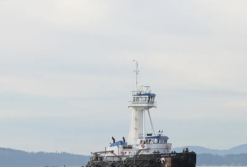 PACIFIC WOLF General Cargo IMO 7404047 photo 3