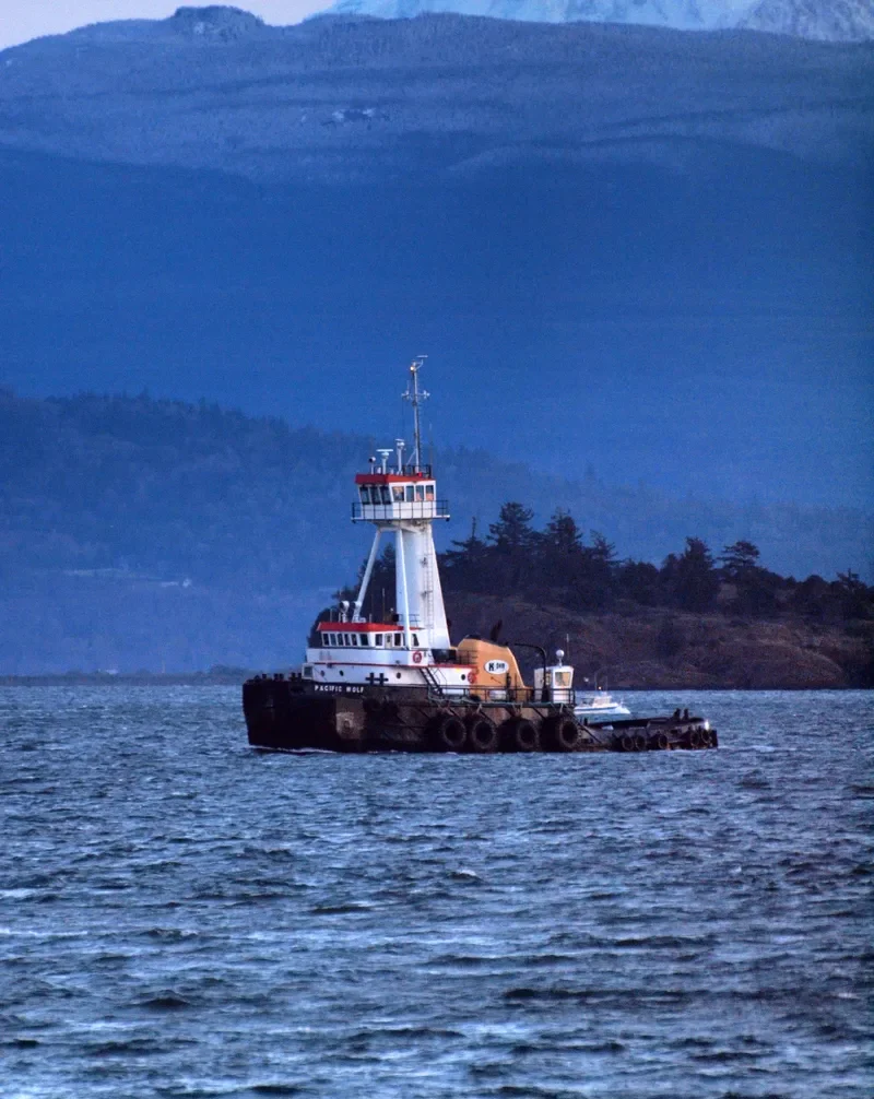 PACIFIC WOLF General Cargo IMO 7404047 photo 4