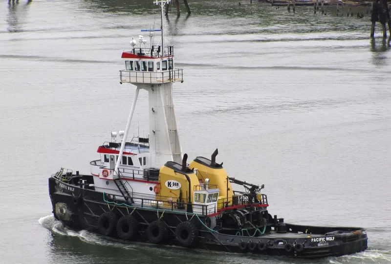 PACIFIC WOLF General Cargo IMO 7404047 photo 7