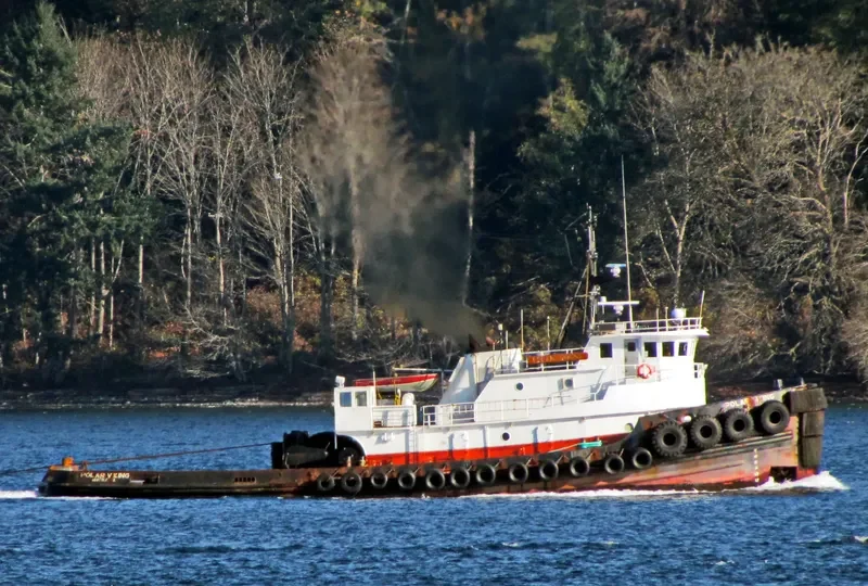POLAR VIKING General Cargo IMO 7404097 photo 4
