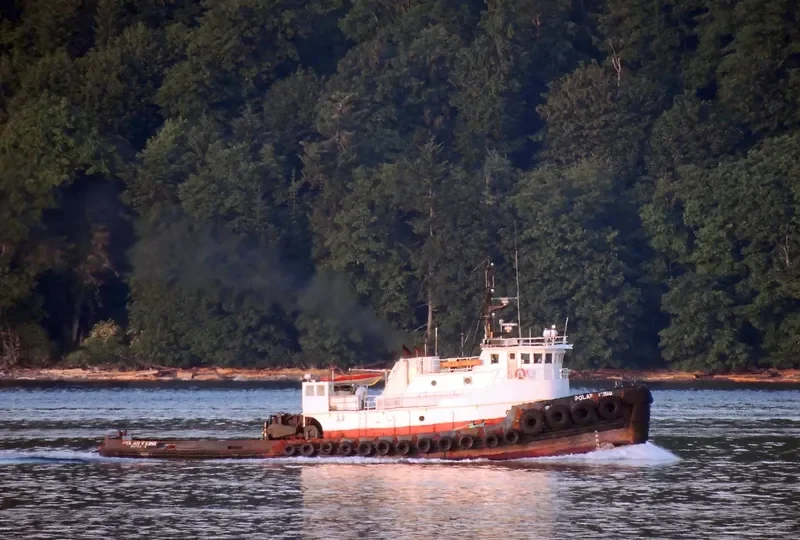 POLAR VIKING General Cargo IMO 7404097 photo 5