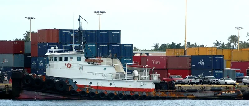 POLAR VIKING General Cargo IMO 7404097 photo 9