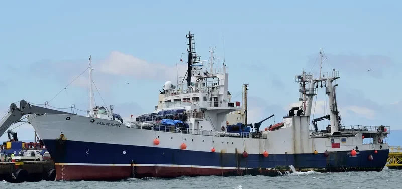 CABO DE HORNOS General Cargo IMO 7404372