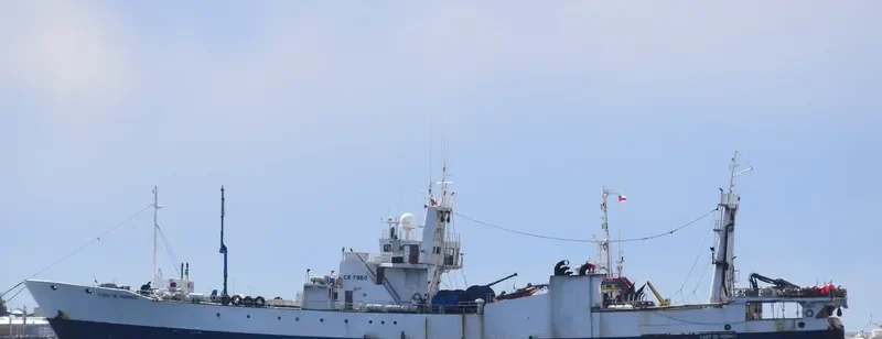 CABO DE HORNOS General Cargo IMO 7404372 photo 2