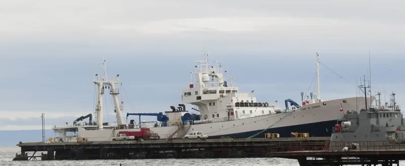 CABO DE HORNOS General Cargo IMO 7404372 photo 5