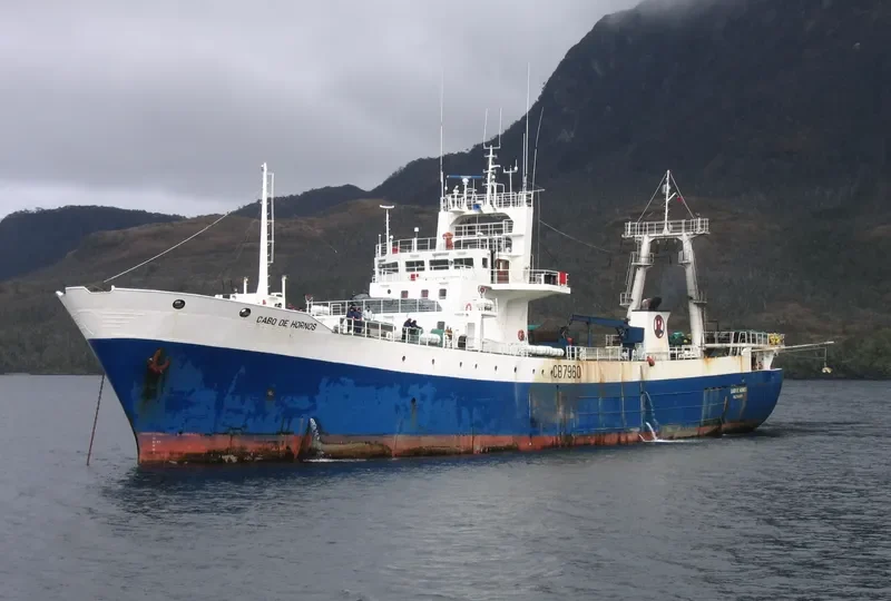 CABO DE HORNOS General Cargo IMO 7404372 photo 6