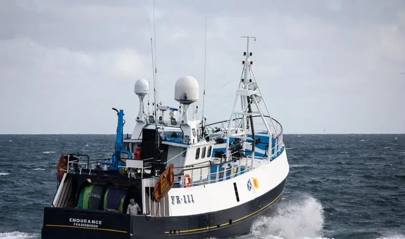 GV ENDURANCE General Cargo IMO 7404762 photo 7