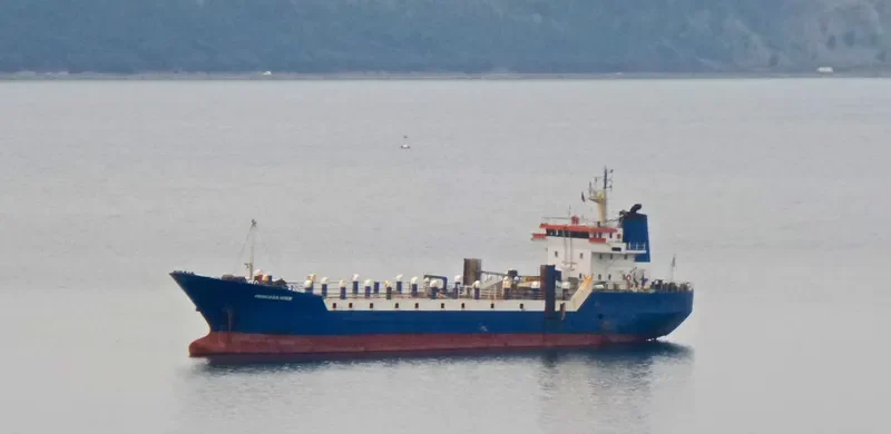 PRINCESS HIYAM General Cargo IMO 7405089 photo 2