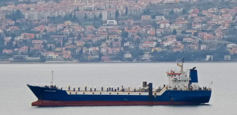 PRINCESS HIYAM General Cargo IMO 7405089 photo 3