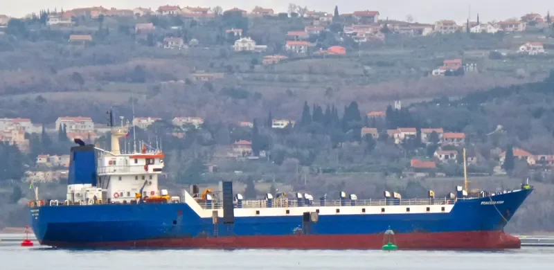 PRINCESS HIYAM General Cargo IMO 7405089 photo 4