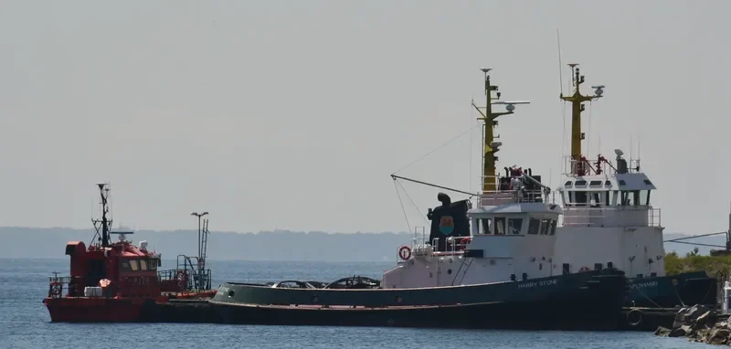 HARRY STONE Tug Boat IMO 7405522 photo 2