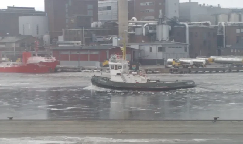 HARRY STONE Tug Boat IMO 7405522 photo 5