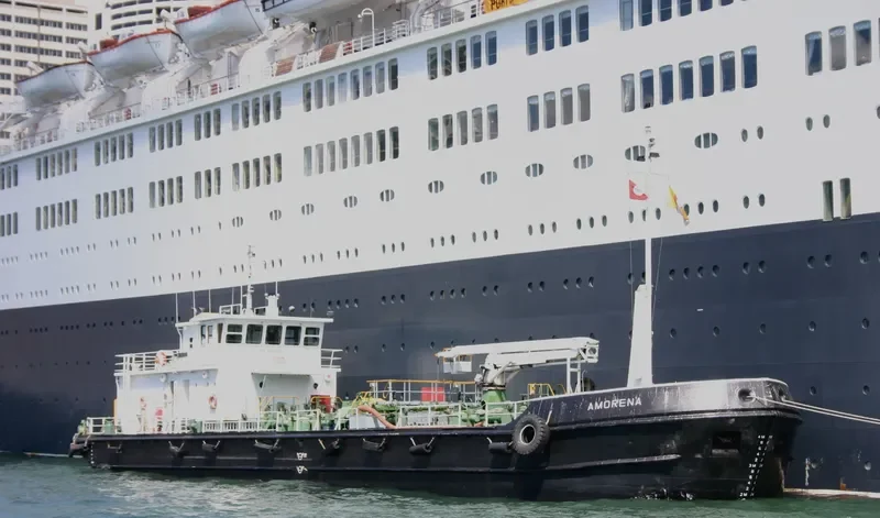 AMORENA General Cargo IMO 7405962