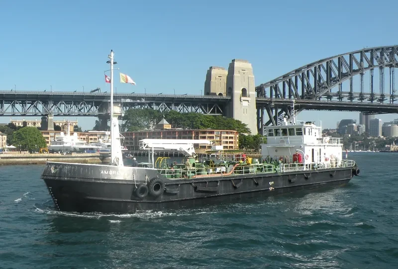 AMORENA General Cargo IMO 7405962 photo 5