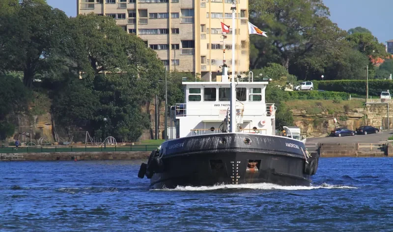 AMORENA General Cargo IMO 7405962 photo 6