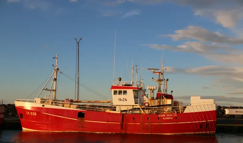 STEINI SIGVALDA General Cargo IMO 7406356 photo 6