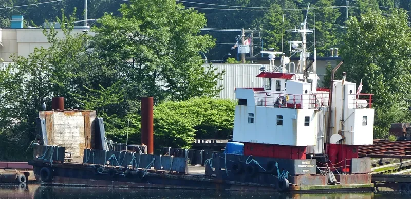 FOREST TRANSPORTER General Cargo IMO 7406590