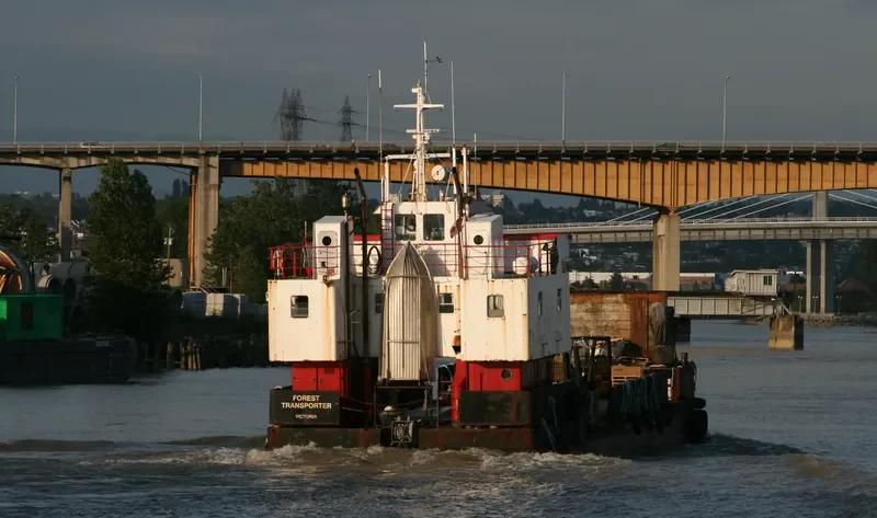FOREST TRANSPORTER General Cargo IMO 7406590 photo 5