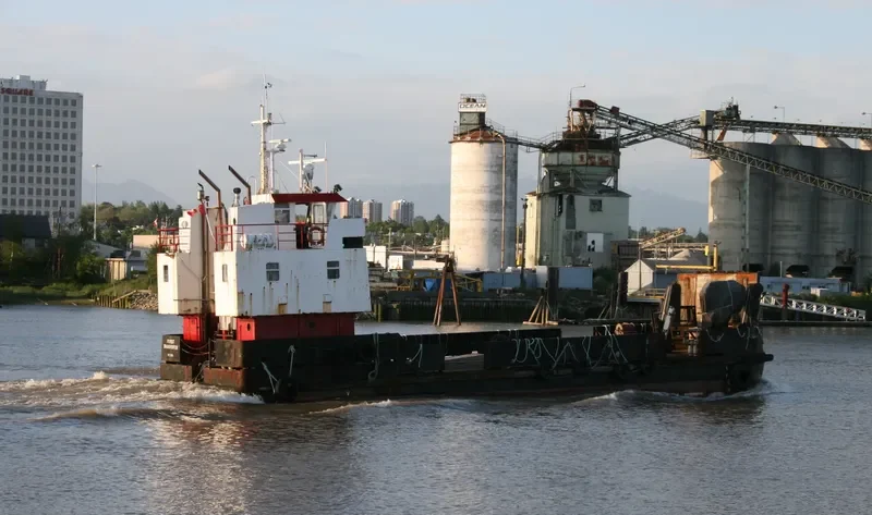 FOREST TRANSPORTER General Cargo IMO 7406590 photo 6
