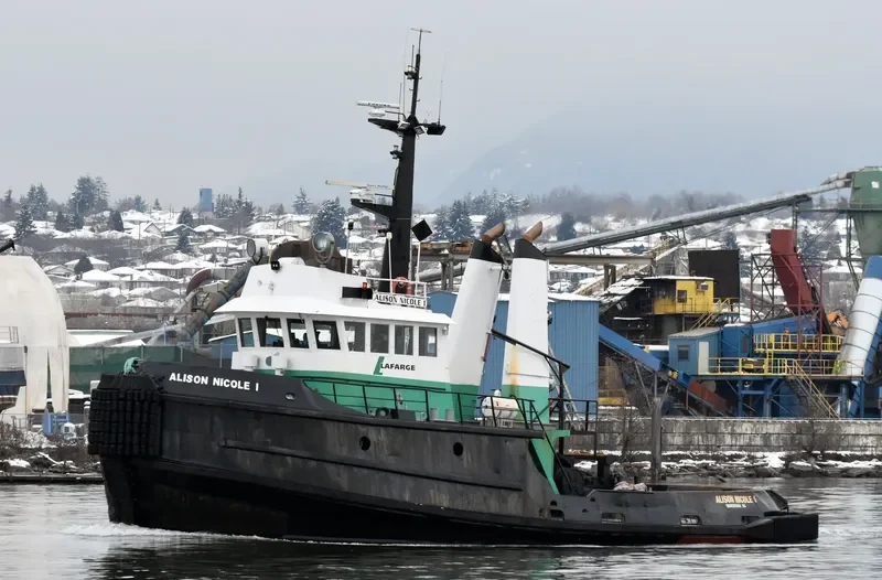 ALISON NICOLE 1 Tug Boat IMO 7406681 photo 5