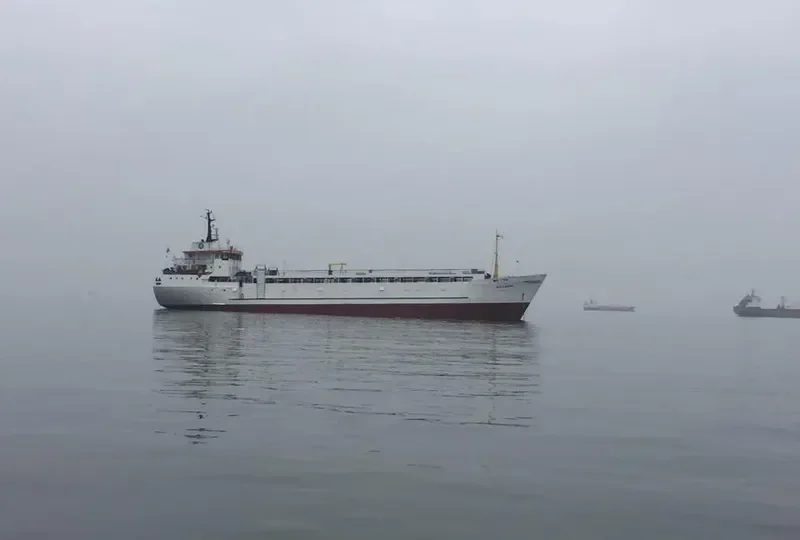 ELENA General Cargo IMO 7406772 photo 8