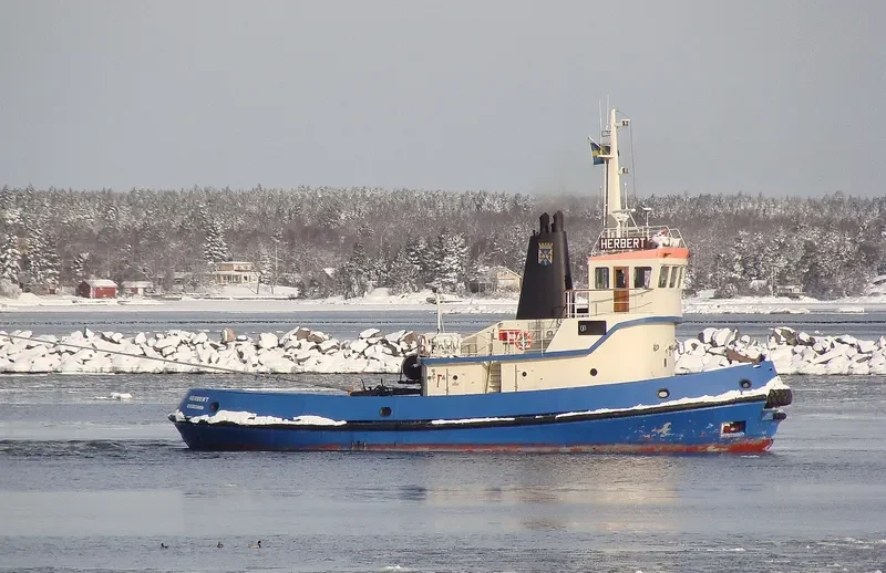 HERBERT Tug Boat IMO 7407556 photo 8