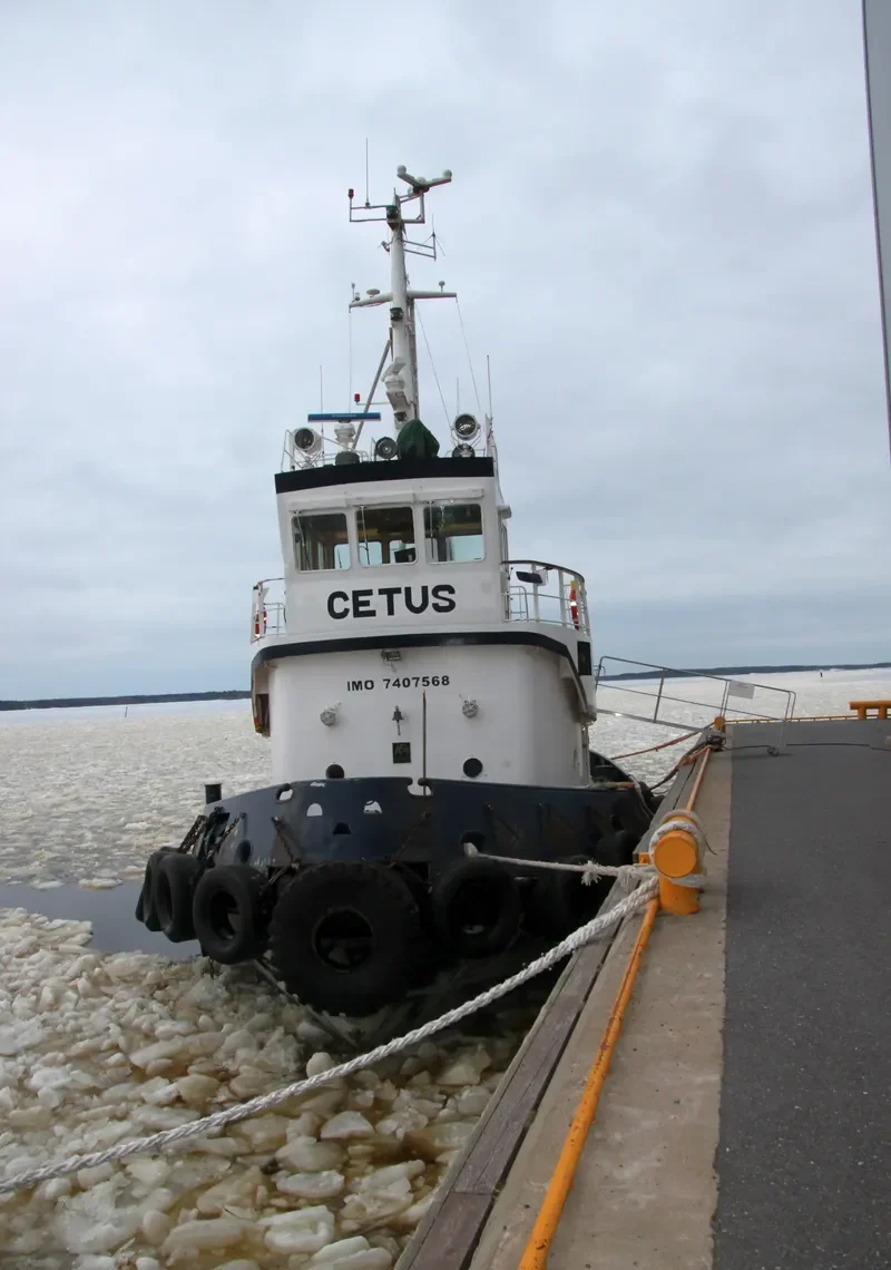 CETUS General Cargo IMO 7407568