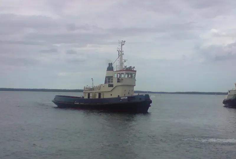 CETUS General Cargo IMO 7407568 photo 9