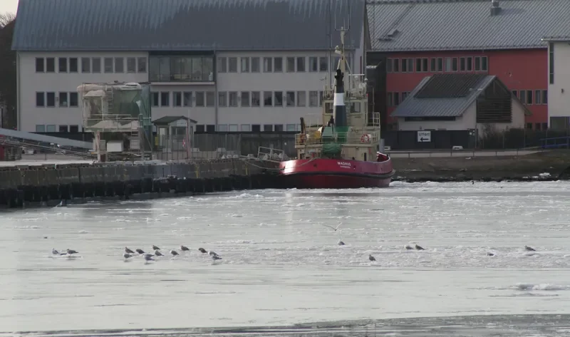 MAGNUS Tug Boat IMO 7407570 photo 10