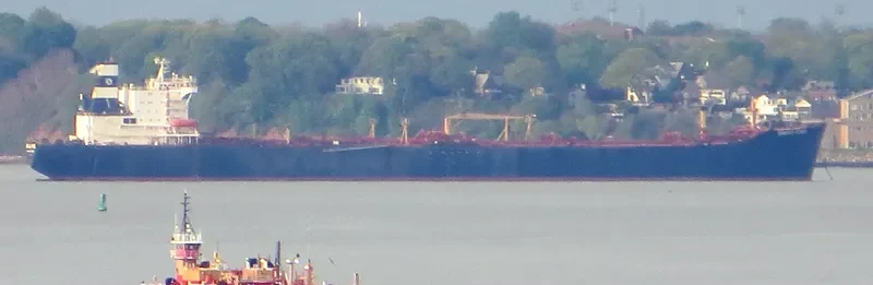 LEO Tanker IMO 7408081 photo 2