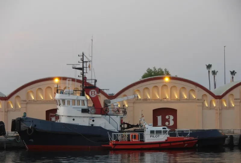 BOLUDA TRAMONTANA General Cargo IMO 7408500