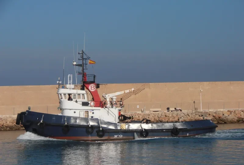 BOLUDA TRAMONTANA General Cargo IMO 7408500 photo 6